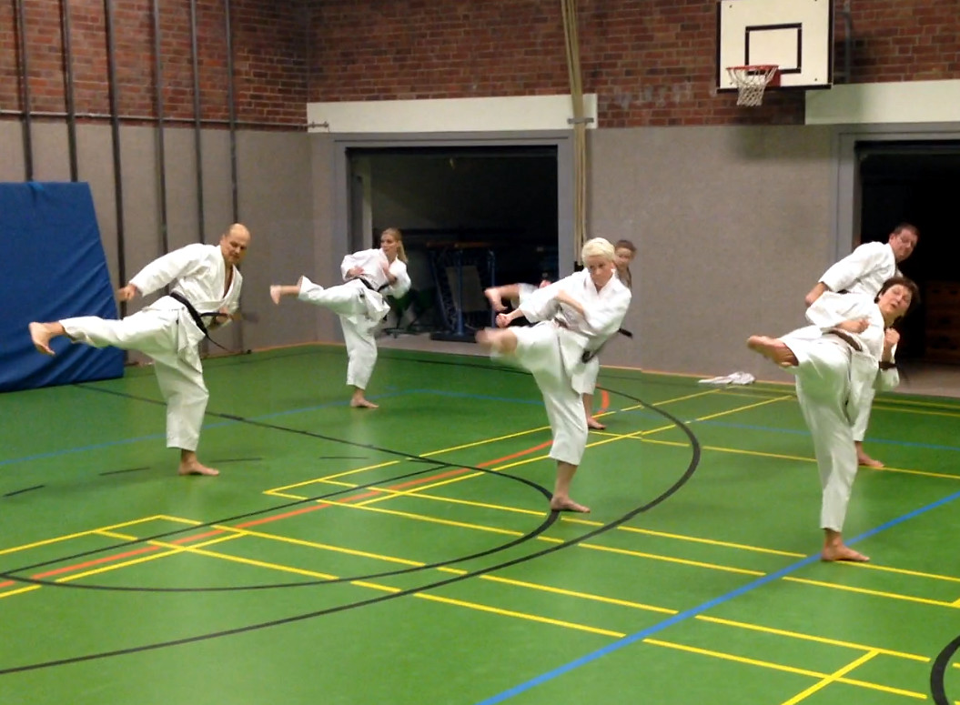 Katatraining und Problem-Beintechniken
