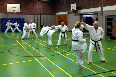 Jiyu Ippon 03 09 2014 - Bild zum Beitrag "Bunkai und Jiyu-Ippon"