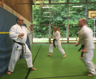 Heian Sandan und Sprünge