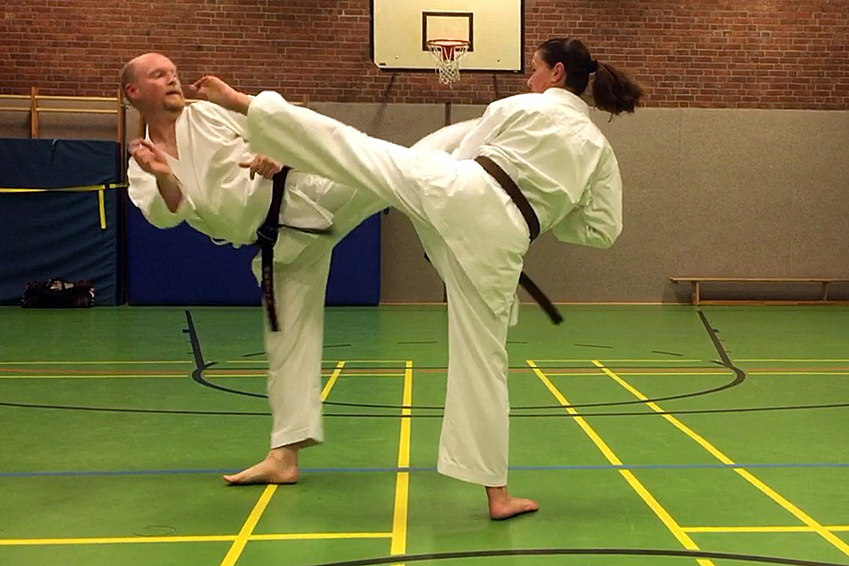 Kumite: Grundlagen und Mawashi-Geri