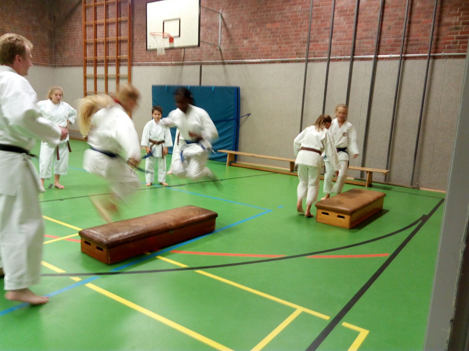 Bunkai, Synchrontraining und SV