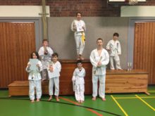 Bild 15 zum Beitrag "Toshima Kids-Cup 2017"