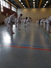 Lehrgang Hagge Ratzeburg 10 - Bild zum Beitrag "Koshinkan Lehrgang mit Wolfgang Hagge in Ratzeburg"