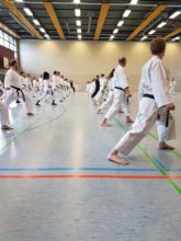 Lehrgang Hagge Ratzeburg 12 - Bild zum Beitrag "Koshinkan Lehrgang mit Wolfgang Hagge in Ratzeburg"