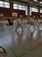 Lehrgang Hagge Ratzeburg 13 - Bild zum Beitrag "Koshinkan Lehrgang mit Wolfgang Hagge in Ratzeburg"