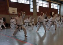 Lehrgang Hagge Ratzeburg 15 - Bild zum Beitrag "Koshinkan Lehrgang mit Wolfgang Hagge in Ratzeburg"