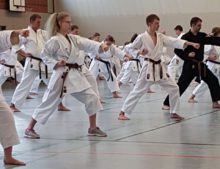 Lehrgang Hagge Ratzeburg 17 - Bild zum Beitrag "Koshinkan Lehrgang mit Wolfgang Hagge in Ratzeburg"