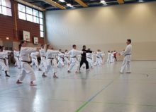 Lehrgang Hagge Ratzeburg 18 - Bild zum Beitrag "Koshinkan Lehrgang mit Wolfgang Hagge in Ratzeburg"