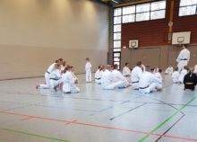 Lehrgang Hagge Ratzeburg 19 - Bild zum Beitrag "Koshinkan Lehrgang mit Wolfgang Hagge in Ratzeburg"