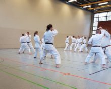 Lehrgang Hagge Ratzeburg 21 - Bild zum Beitrag "Koshinkan Lehrgang mit Wolfgang Hagge in Ratzeburg"