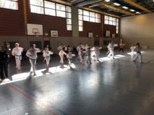 Lehrgang Hagge Ratzeburg 3 - Bild zum Beitrag "Koshinkan Lehrgang mit Wolfgang Hagge in Ratzeburg"